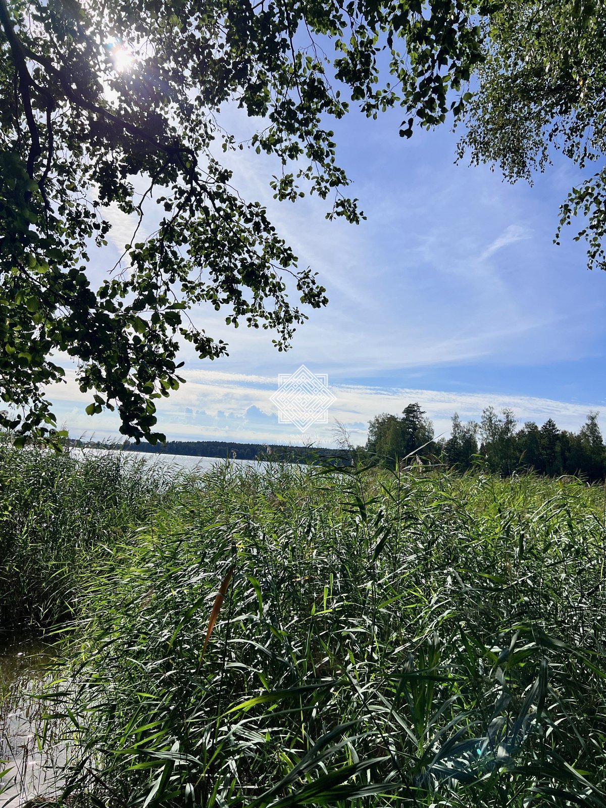 Działka inna na sprzedaż Grądy Kruklaneckie  10 300m2 Foto 2