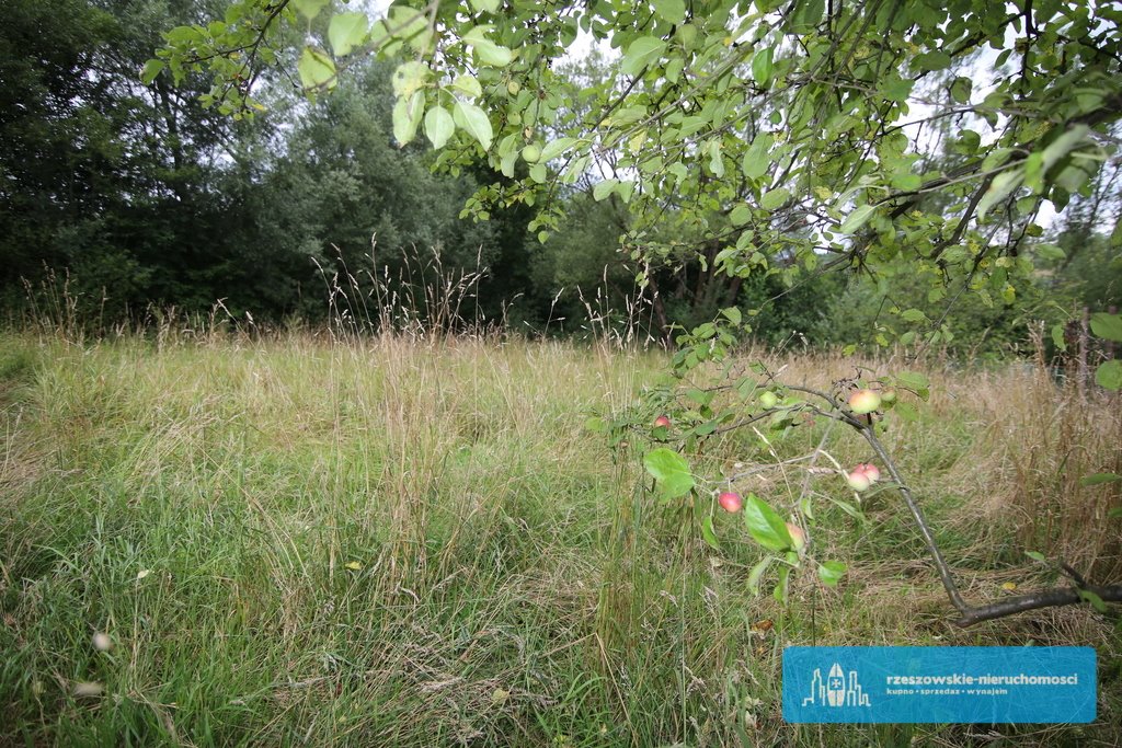 Dom na sprzedaż Hadle Szklarskie  100m2 Foto 6