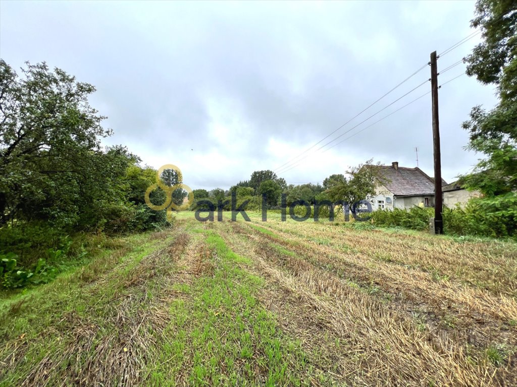 Działka budowlana na sprzedaż Drogomil  1 616m2 Foto 2