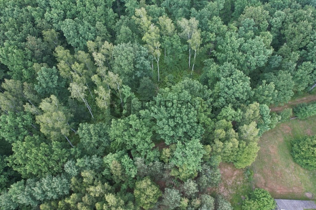 Działka rekreacyjna na sprzedaż Wiskitki  2 068m2 Foto 19