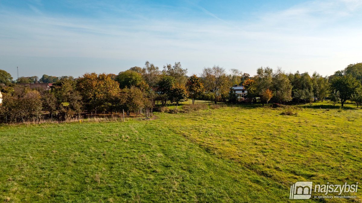 Działka rolna na sprzedaż Sarbia  6 500m2 Foto 5