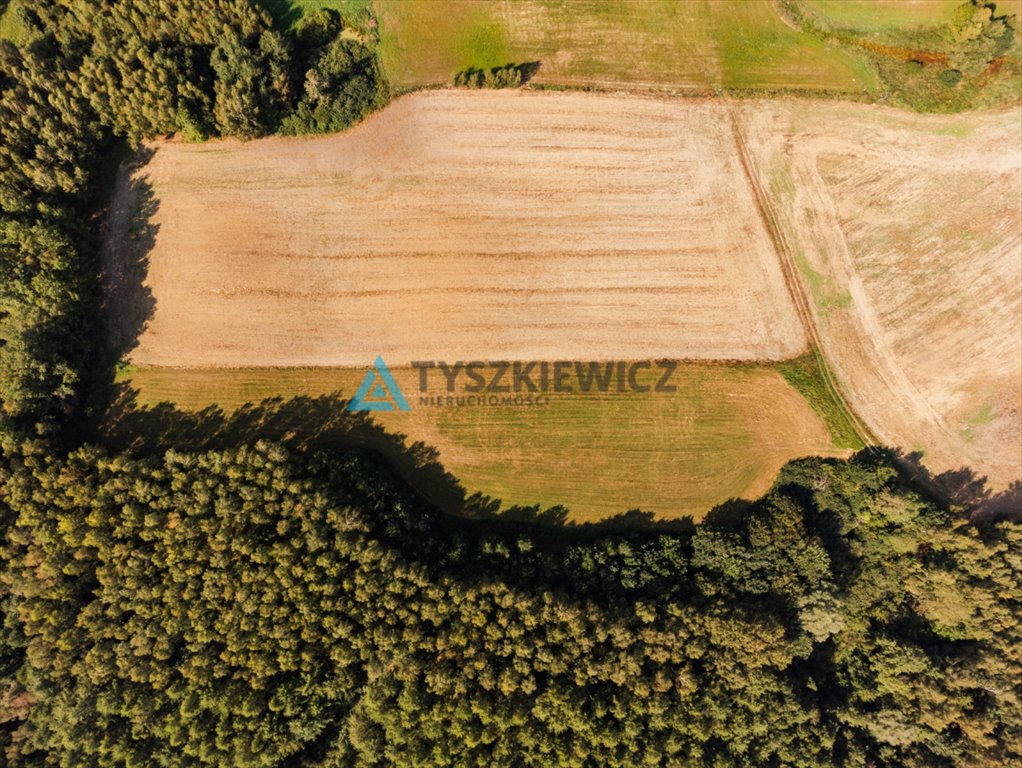 Działka rolna na sprzedaż Ełganowo, Macierzy Szkolnej  6 500m2 Foto 3