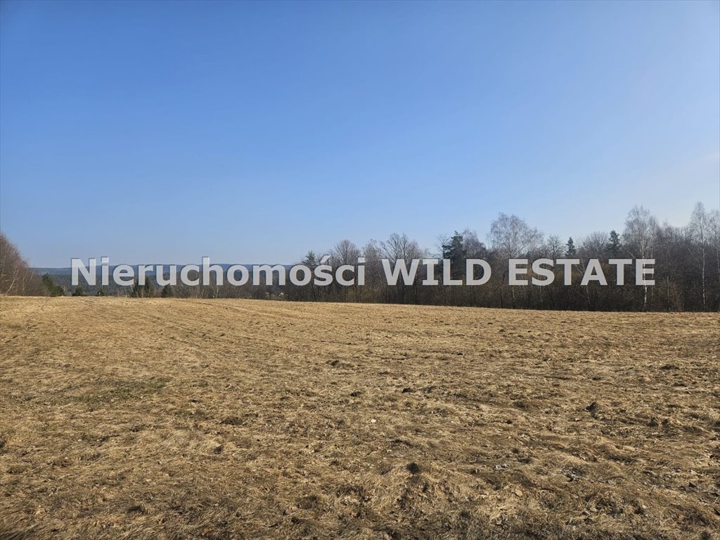 Działka z pozwoleniem i domkiem w Bieszczadach – idealna inwestycja Olszanica, Orelec  11 163m2 Foto 1