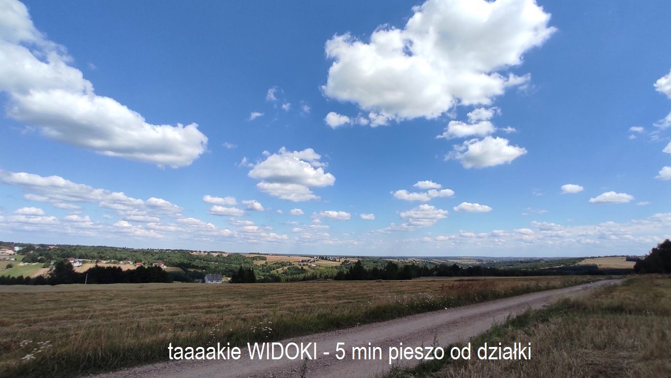 Działka budowlana na sprzedaż Radkowice-Kolonia  4 651m2 Foto 17