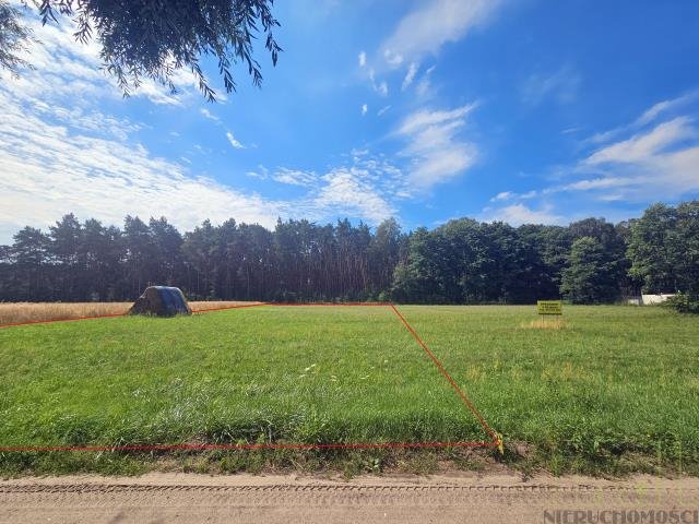 Zapraszam do zakupu działki 1500 m² przy lesie w Woli Dąbrowieckiej Wola Dąbrowiecka  1 500m2 Foto 1