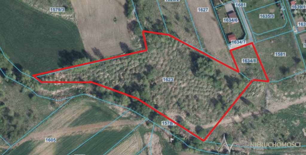 Działka budowlana na sprzedaż Kędzierzyn-Koźle  9 232m2 Foto 1