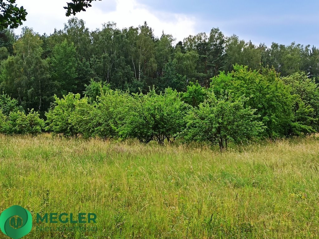 Działka budowlana na sprzedaż Rusiec  950m2 Foto 2