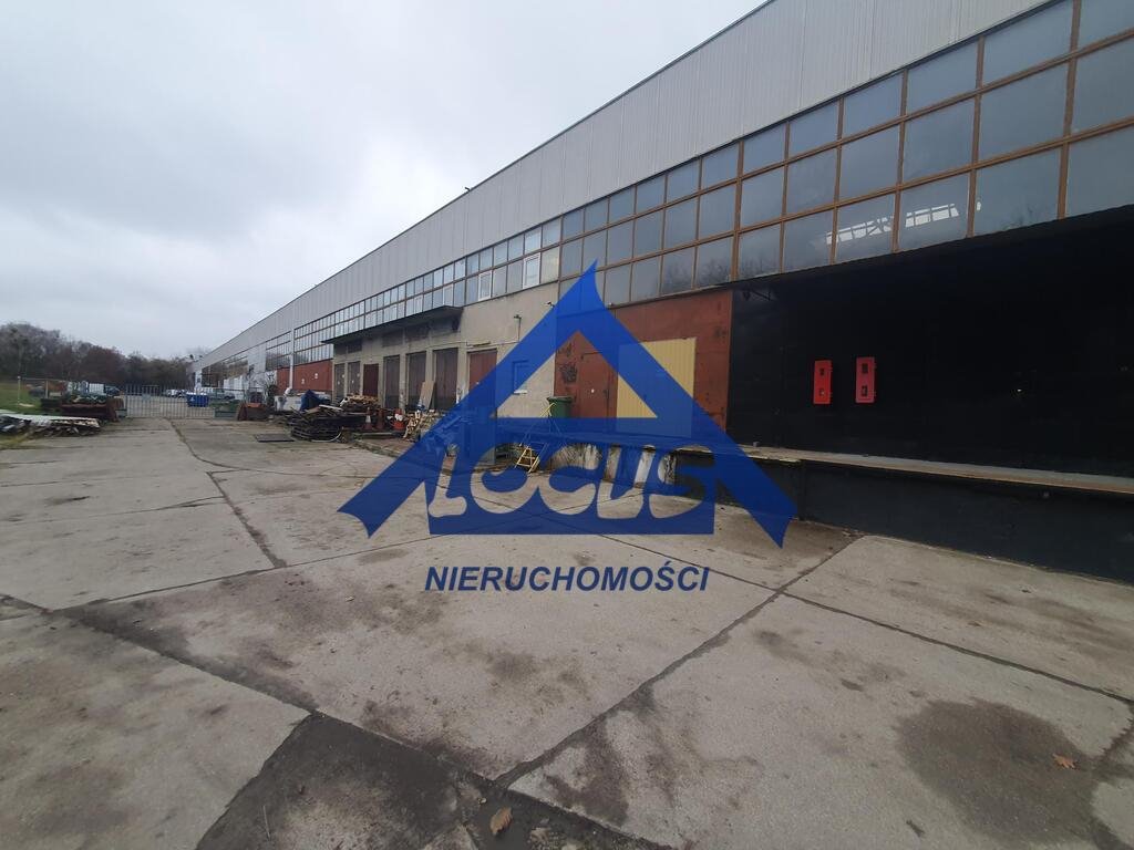Magazyn 249m2 z rampą i ochroną w Bielanach.: Warszawa Bielany