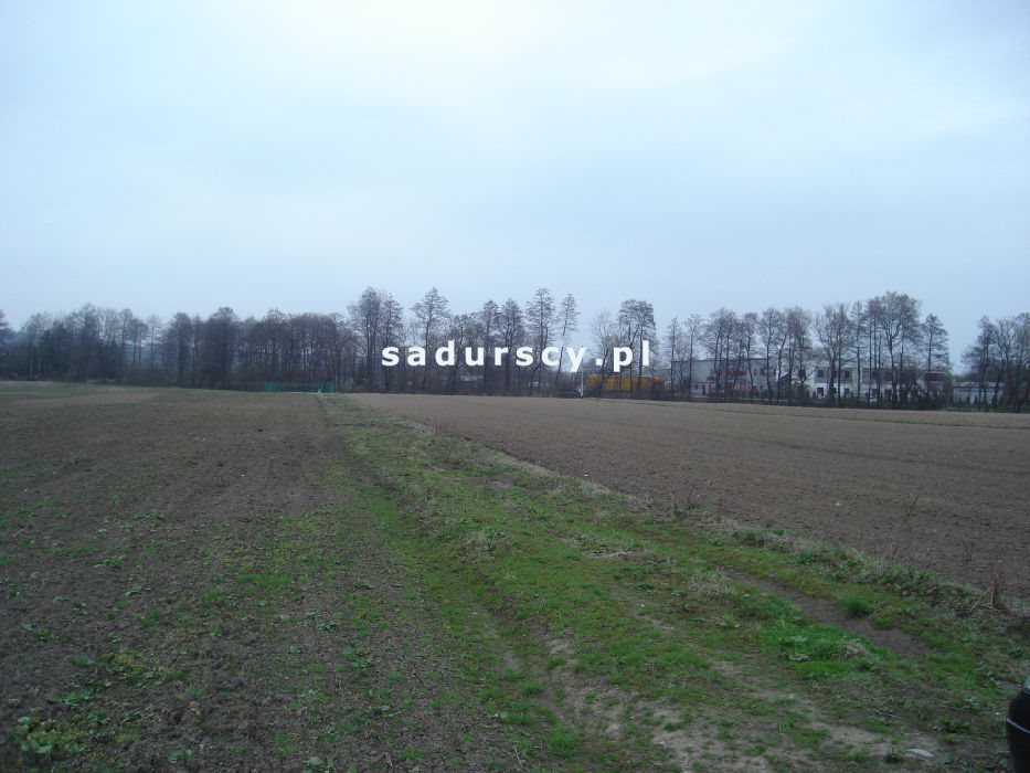 Działka inwestycyjna na sprzedaż Morawica  10 000m2 Foto 8