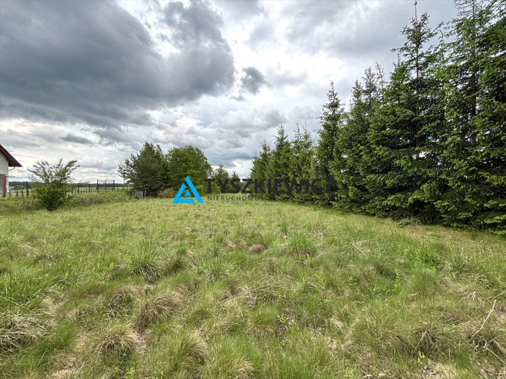 Działka budowlana na sprzedaż Osowo Leśne  4 300m2 Foto 1