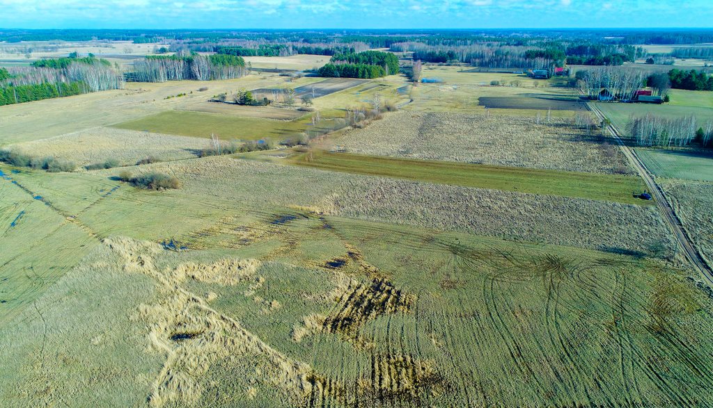 Działka inna na sprzedaż Aleksicze  3 000m2 Foto 8