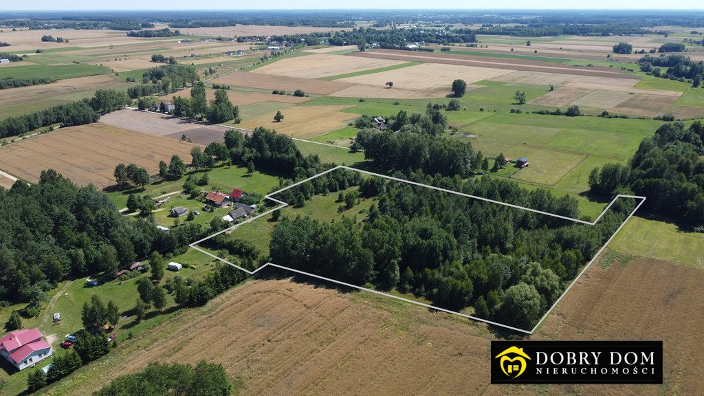 Działka budowlana na sprzedaż Rafałówka  3 000m2 Foto 7