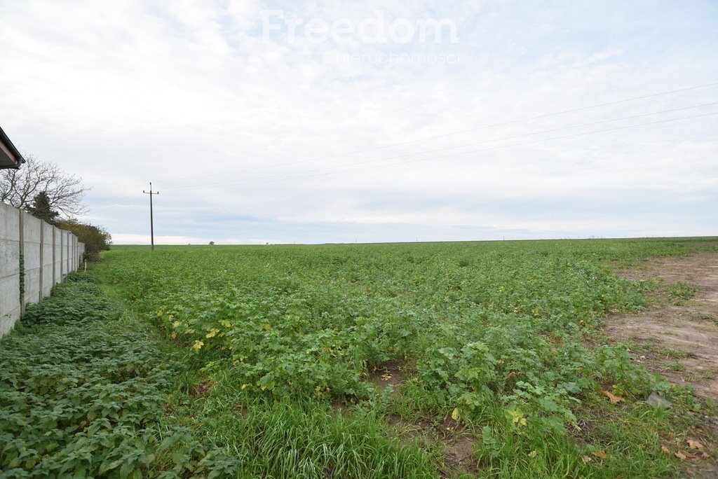 Działka budowlana na sprzedaż Świerczów  1 003m2 Foto 2