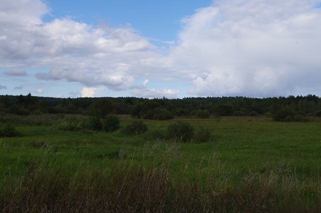 Działka rolna na sprzedaż Dąbrówka, Łąkowa  13 100m2 Foto 1