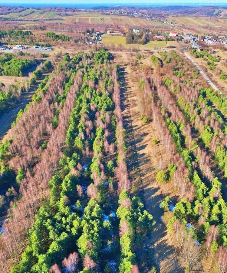Działka rolna na sprzedaż Niegowa  3 233m2 Foto 2