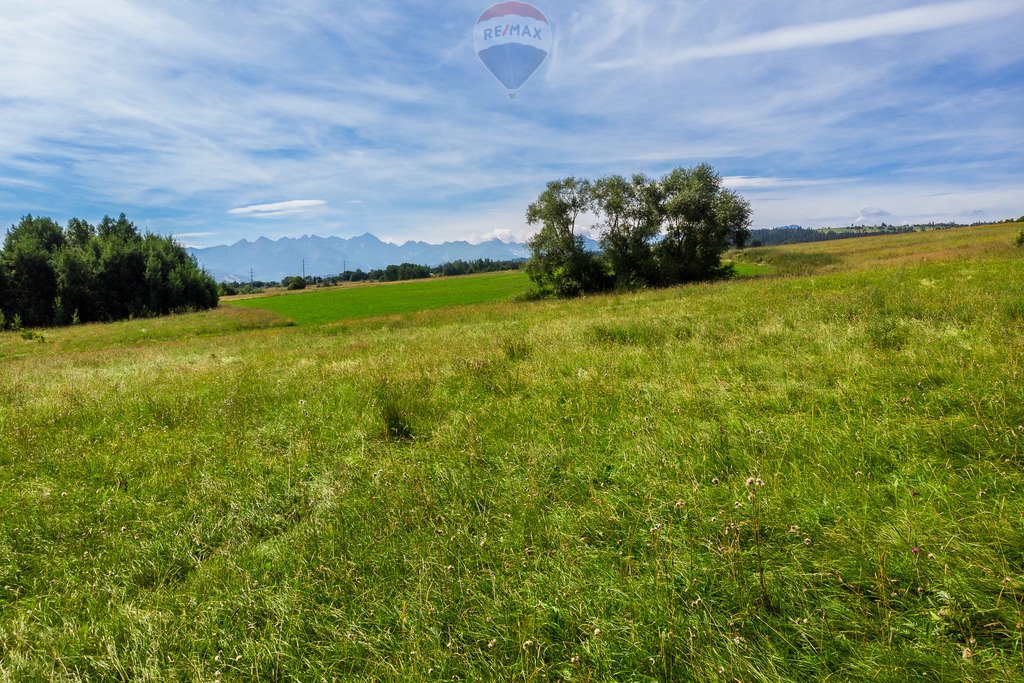 Działka rolna na sprzedaż Groń, Kobylarzówka  17 000m2 Foto 20