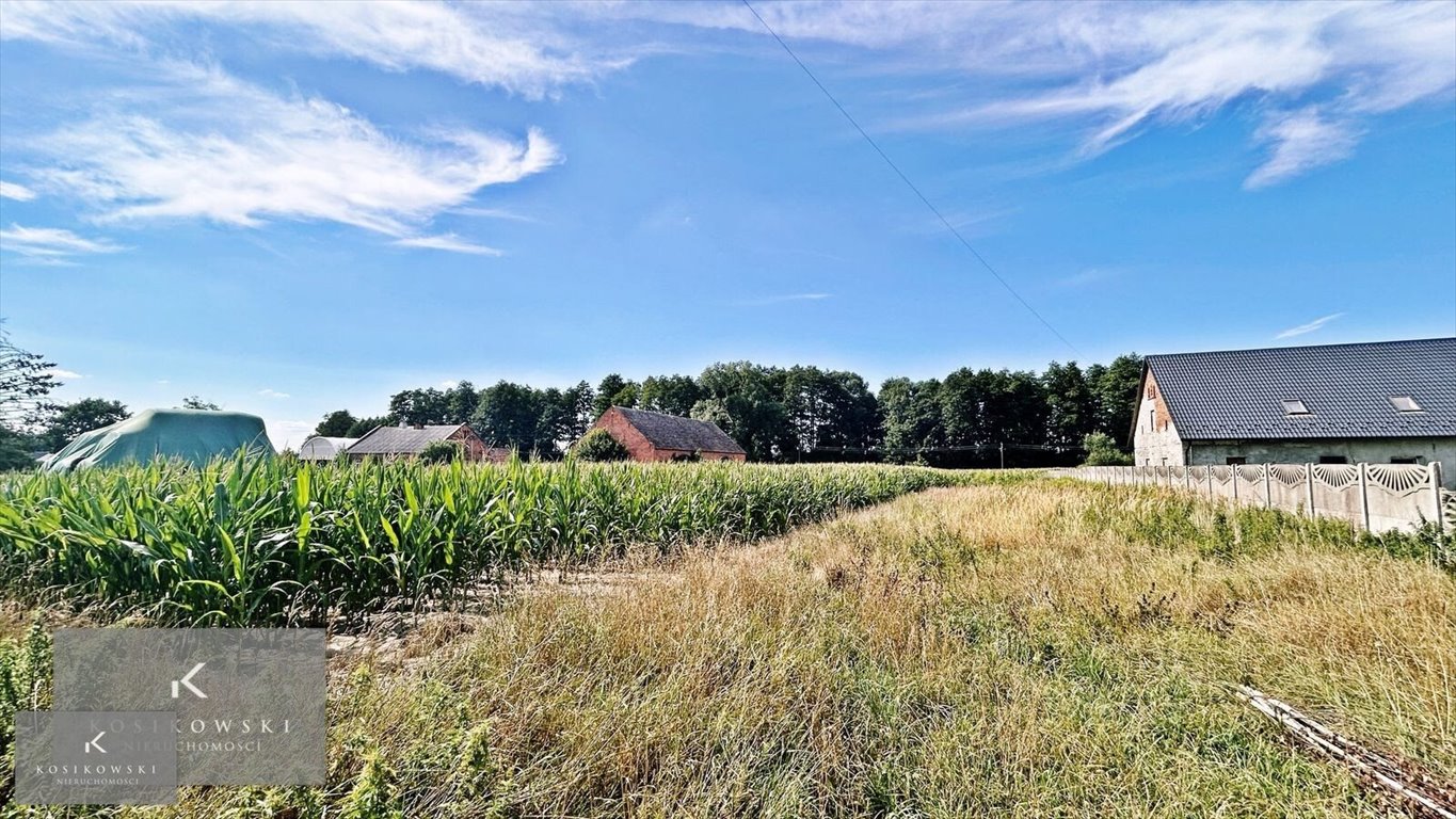 Działka inna na sprzedaż Namysłów, Smogorzów  2 260m2 Foto 1