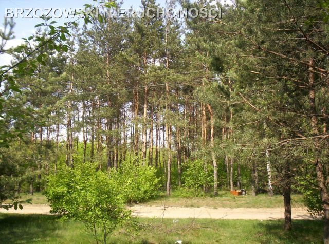 Działka budowlana na sprzedaż Józefów, Wiązowska 2 256m2 Foto 1 Działka budowlana na sprzedaż Józefów, Wiązowska 2 256m2 Foto 1