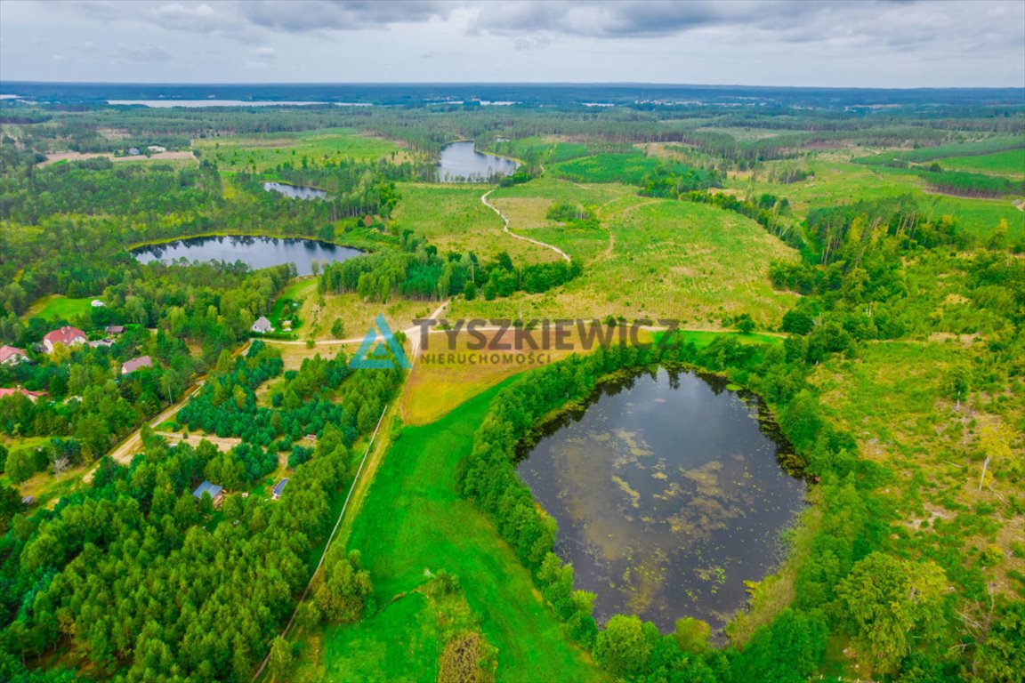 Działka budowlana na sprzedaż Trzebuń  1 800m2 Foto 6