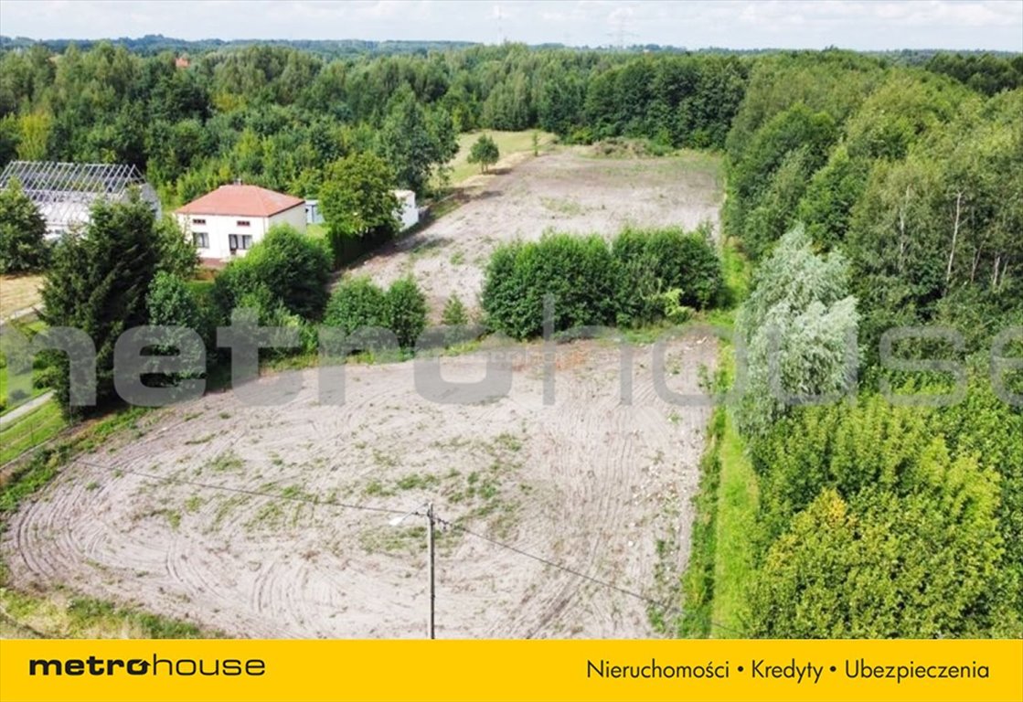 Działka inna na sprzedaż Kowala-Stępocina, Kowala Kolonia  6 500m2 Foto 8