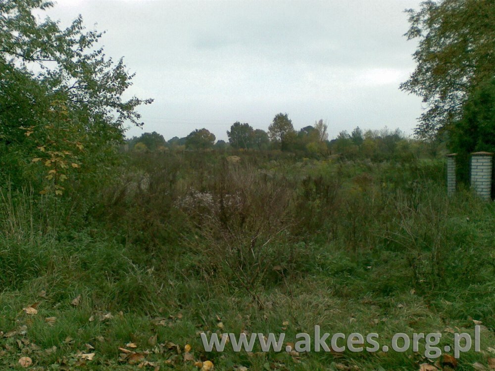 Działka budowlana na sprzedaż Chrzanów Mały  3 400m2 Foto 1