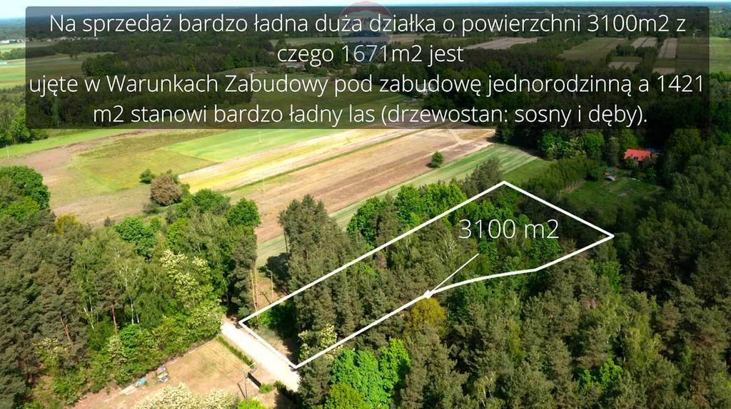 Działka rolna na sprzedaż Suchowizna  3 100m2 Foto 2