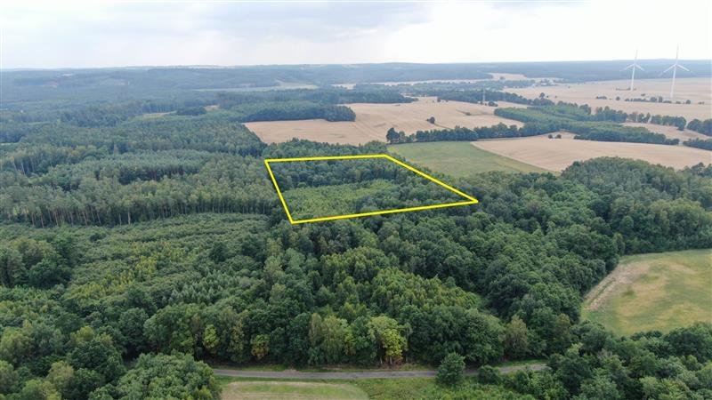 Działka 2 ha z lasem, blisko Zielenicy, świetna inwestycja Lejkowo, Lejkowo  35 700m2 Foto 1