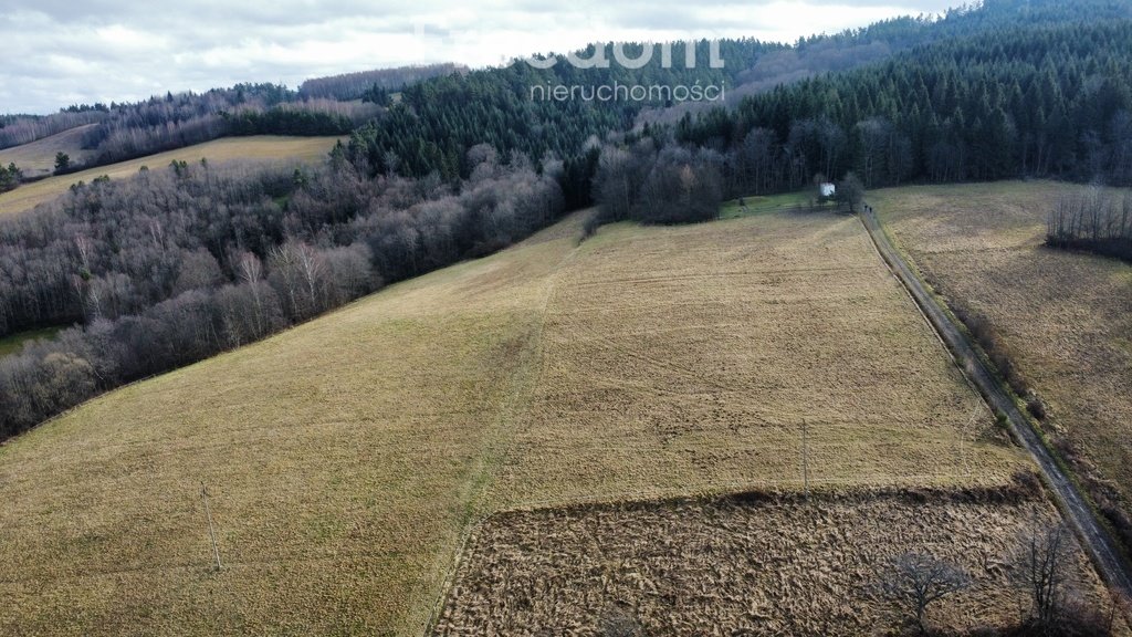 Działka inna na sprzedaż Górzanka  12 233m2 Foto 11