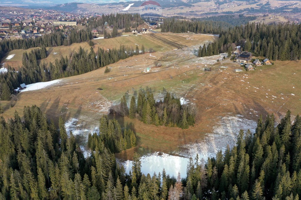 Działka rolna na sprzedaż Brzegi  4 535m2 Foto 9