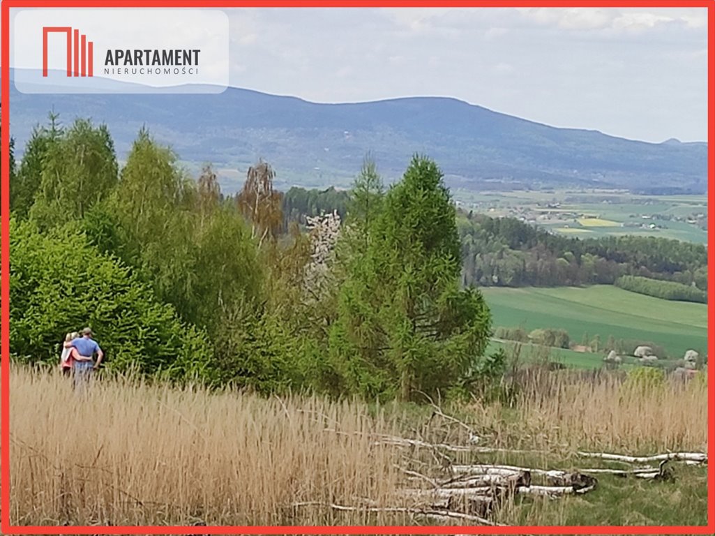 Działka budowlana na sprzedaż Kłodzko  37 700m2 Foto 1