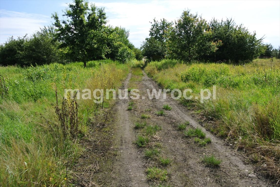 Działka rolna na sprzedaż Wrocław, Psie Pole, Kowale, okolice Chłopskiej  6 069m2 Foto 8