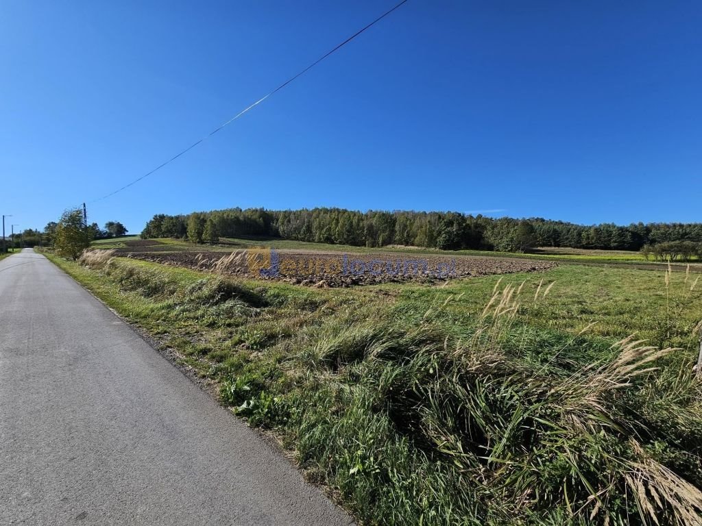 Działka budowlana na sprzedaż Huta Nowa  1 569m2 Foto 2