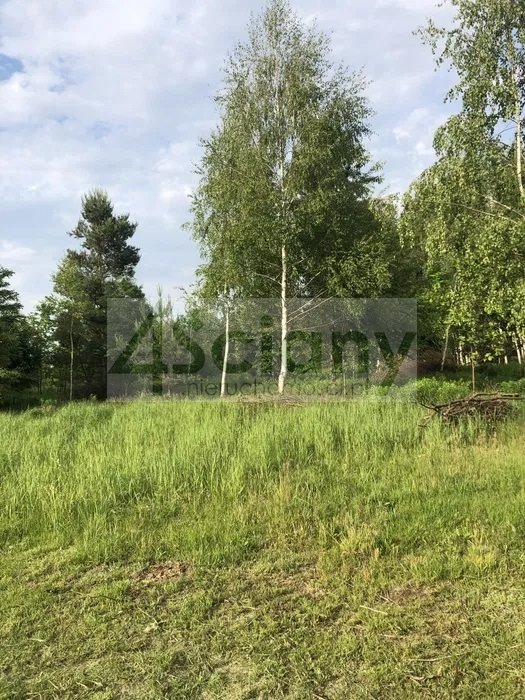 Działka budowlana na sprzedaż Adamowizna  1 466m2 Foto 1