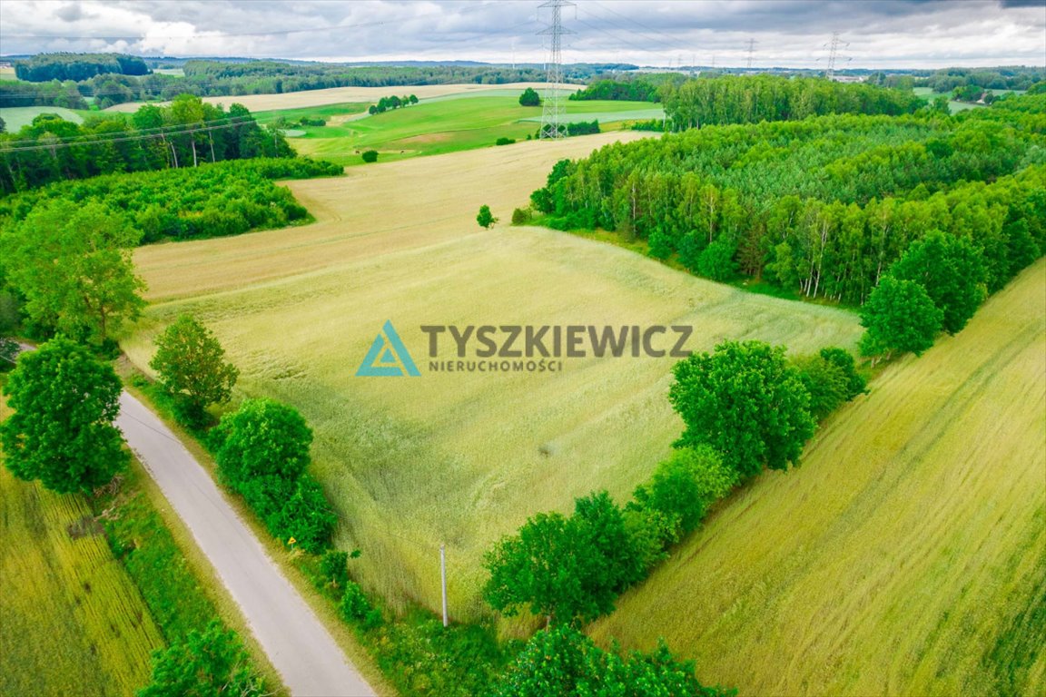 Działka budowlana na sprzedaż Dąbrówka  7 800m2 Foto 9