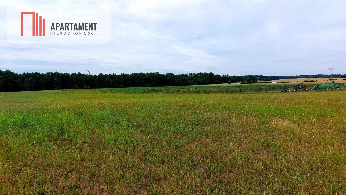 Działka budowlana na sprzedaż Witunia  1 002m2 Foto 8