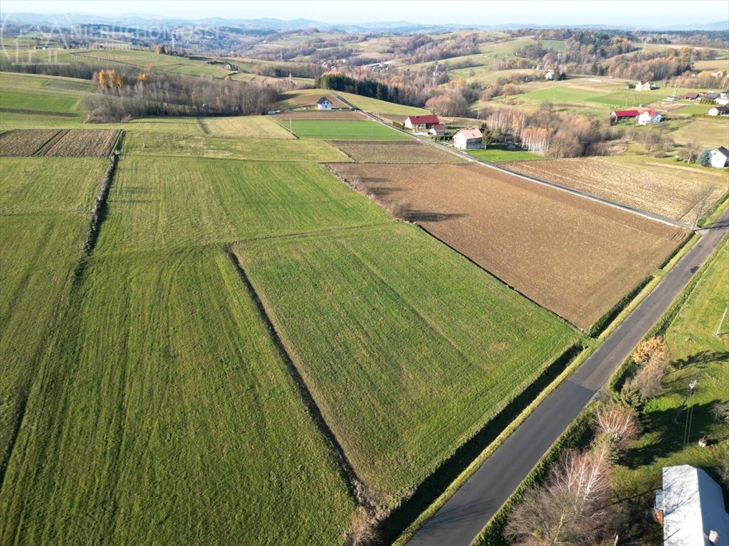 Działka budowlana na sprzedaż Turza  2 517m2 Foto 15