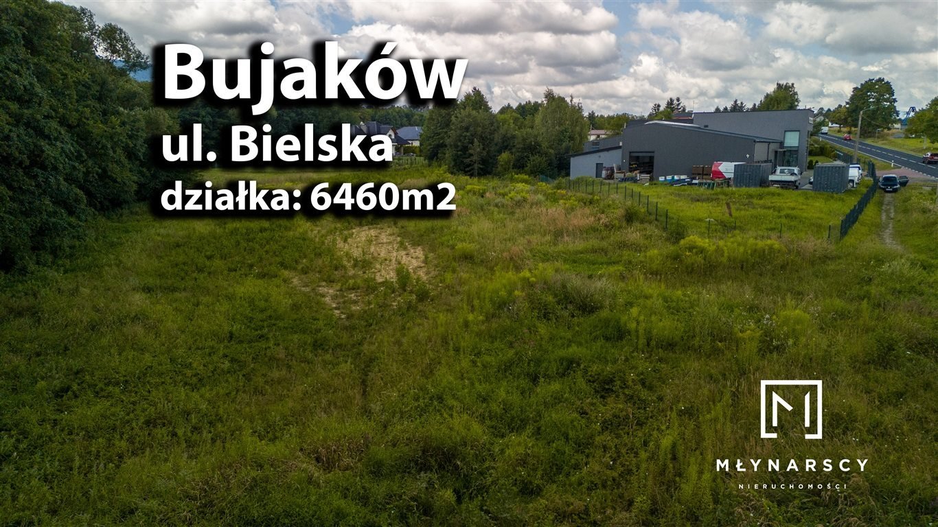 Działka inna na sprzedaż Bujaków  6 460m2 Foto 12