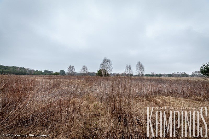 Działka rolna na sprzedaż Zalesie, Stare Babice, oferta 2392 11 700m2 Foto 1 Działka rolna na sprzedaż Zalesie, Stare Babice, oferta 2392 11 700m2 Foto 1