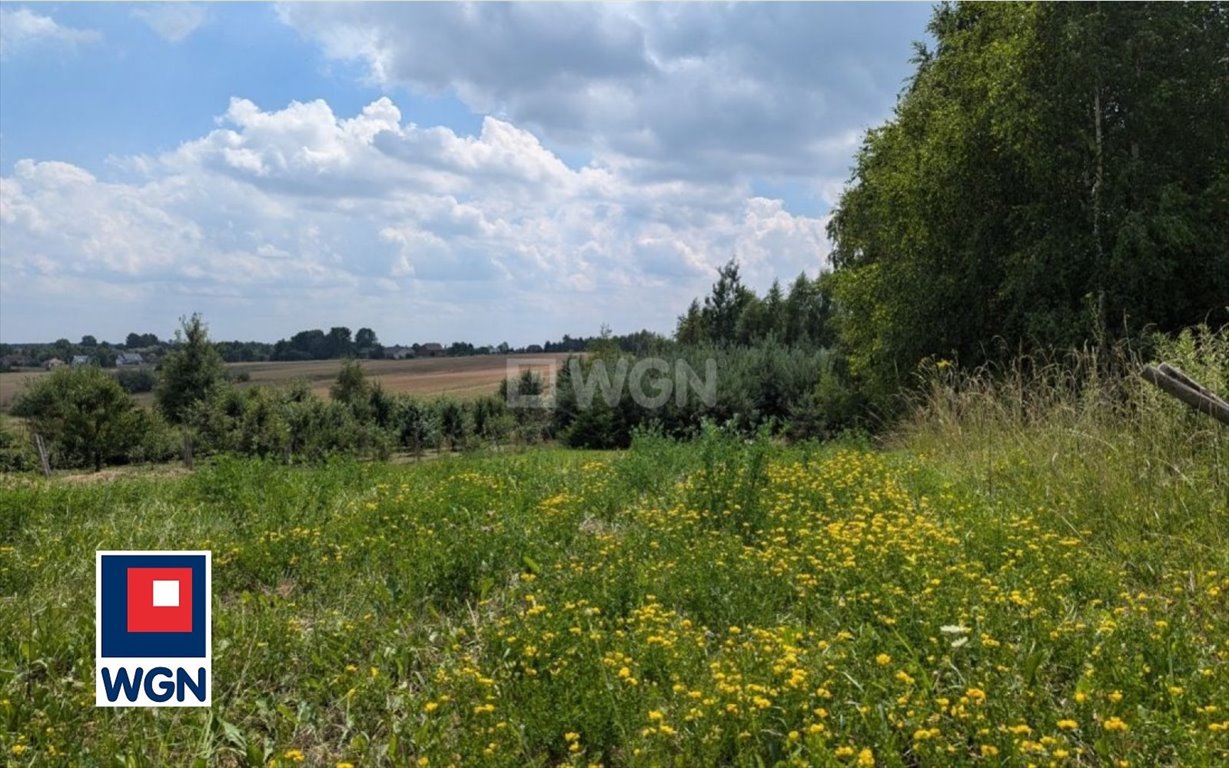 Działka budowlana na sprzedaż Koclin, Wrzosowa  4 192m2 Foto 5