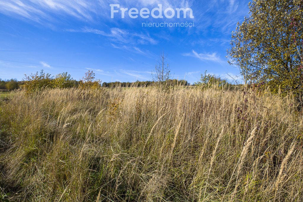 Działka budowlana na sprzedaż Hadle Kańczuckie  2 695m2 Foto 3