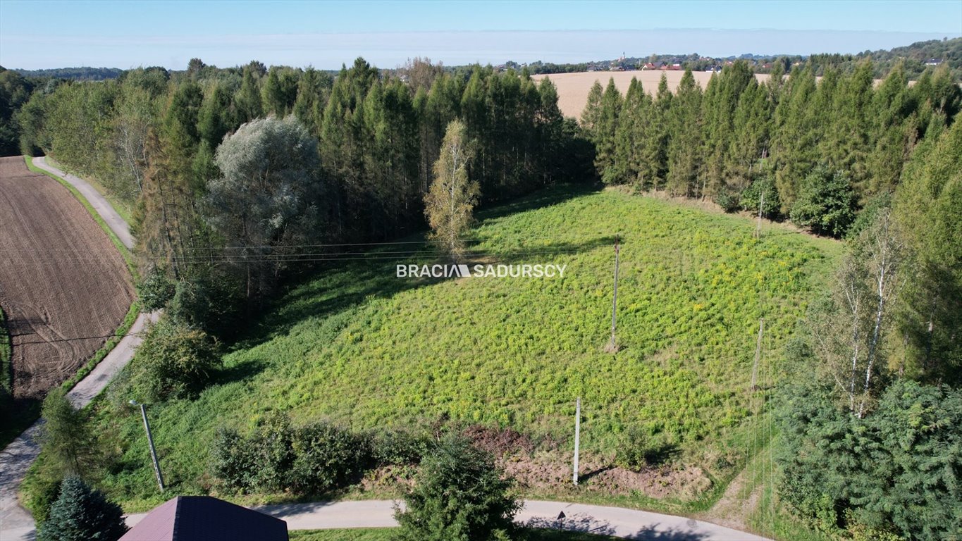 Działka budowlana na sprzedaż Poręba Żegoty  8 900m2 Foto 3