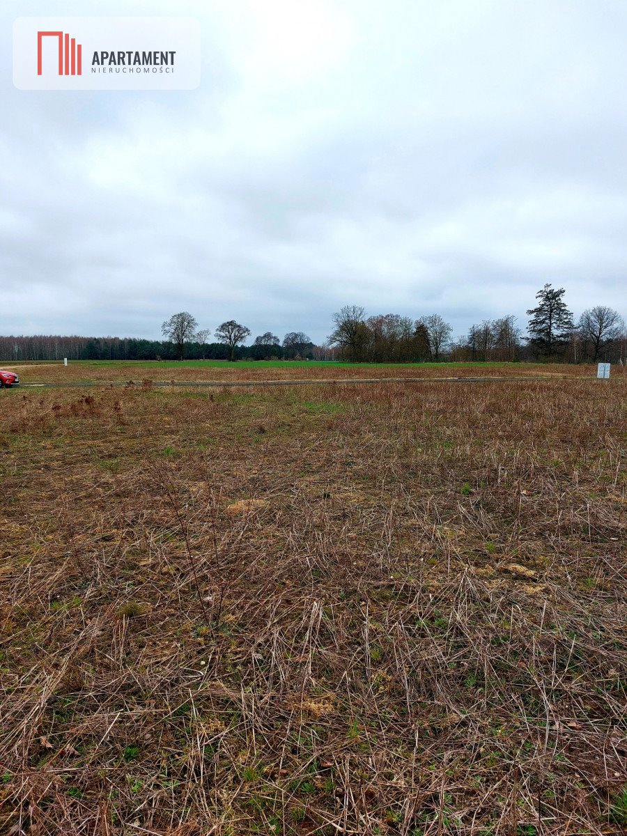 Działka budowlana na sprzedaż Żeleźnica  1 264m2 Foto 7