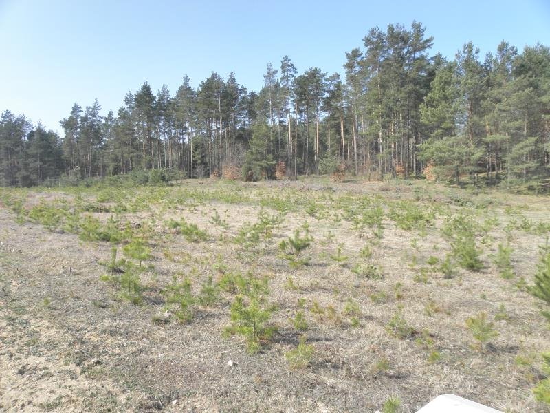 Działka rekreacyjna 684 m² z mediami, blisko jeziora Sitno, Karlikowska  684m2 Foto 1