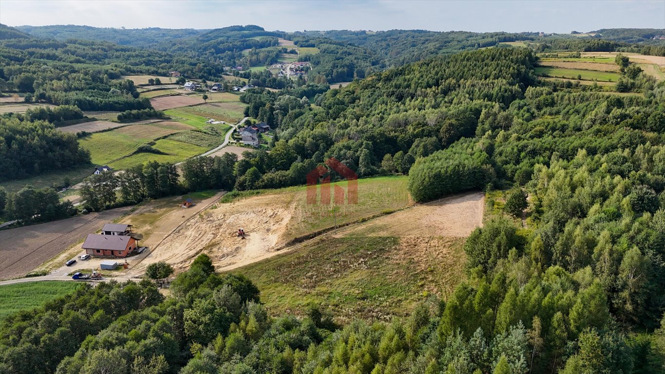 Działka budowlana na sprzedaż Niedźwiada  2 480m2 Foto 12