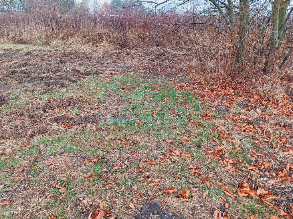 Działka budowlana na sprzedaż Rusiec  1 000m2 Foto 4