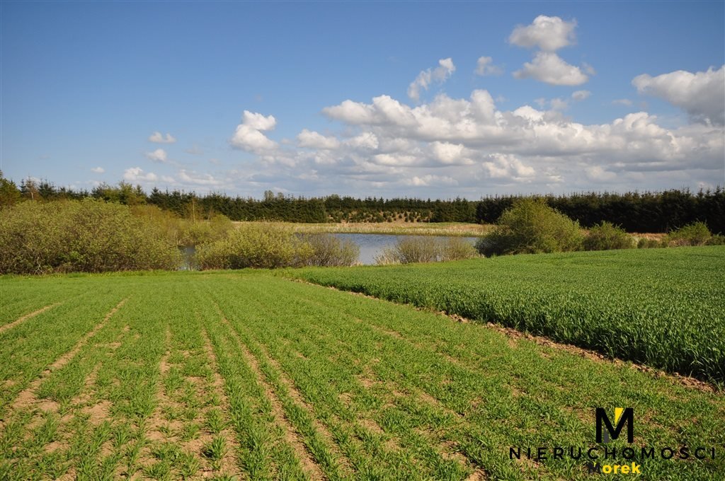 Działka budowlana na sprzedaż Bardy  60 400m2 Foto 18