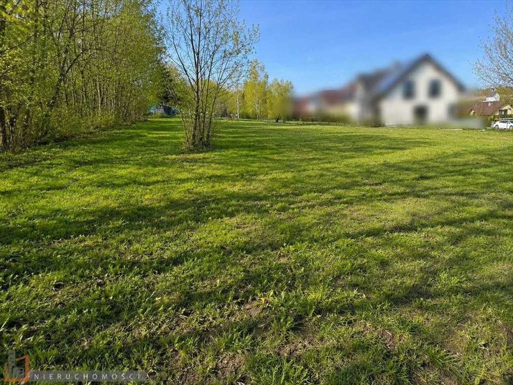 Zdjęcie 4