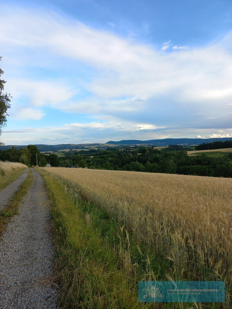 Działka budowlana na sprzedaż Brzeziny  1 250m2 Foto 3