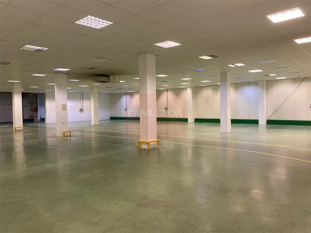 Lokal użytkowy na wynajem Piaseczno  800m2 Foto 1