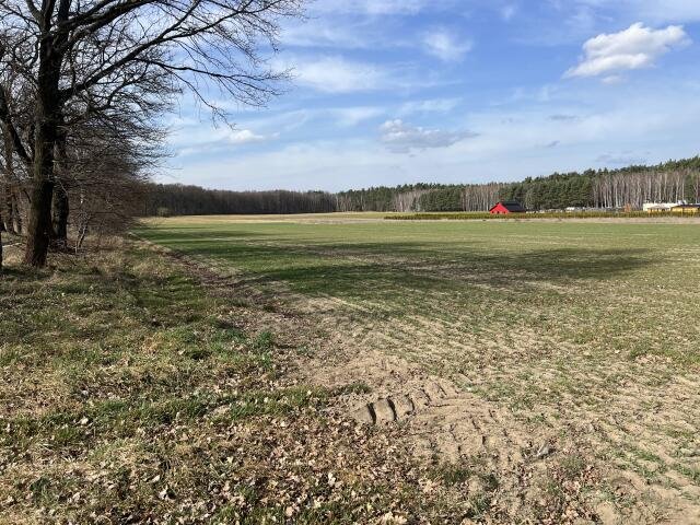 Działka budowlana na sprzedaż Lipowa, Krokusowa  1 667m2 Foto 1